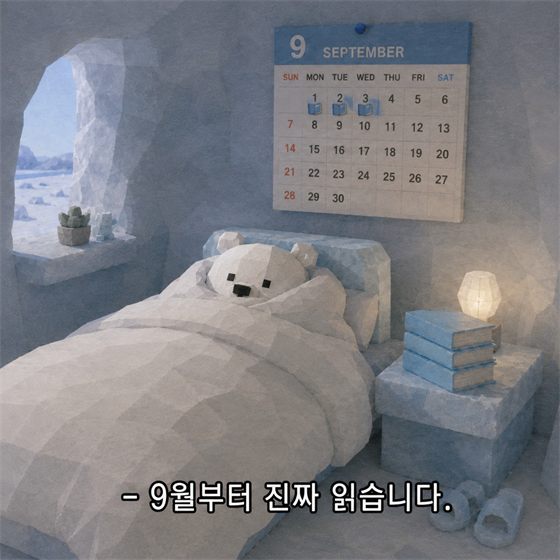 BOOK극곰 인스타그램 게시물